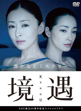 境遇 (2011)海报