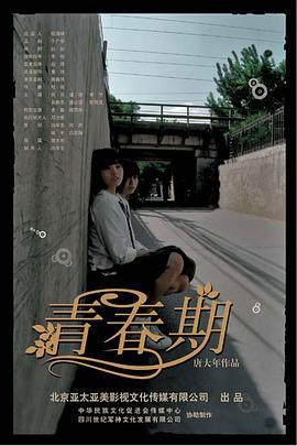 青春期 (2007)海报