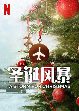 圣诞风暴 A Storm for Christmas (2022)海报