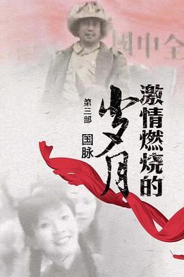 激情燃烧的岁月3 (2010)海报