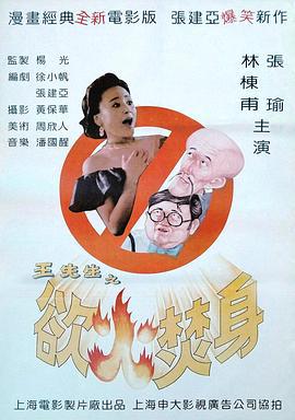 王先生之欲火焚身 (1993)海报
