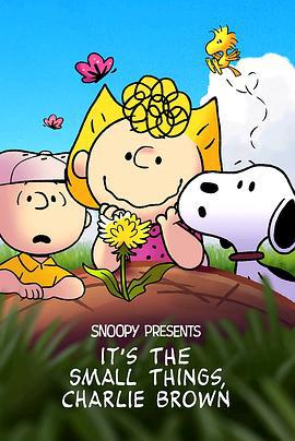 好事一小朵，查理·布朗 It's the Small Things, Charlie Brown (2022)海报