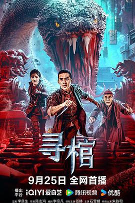 寻棺 (2025)海报
