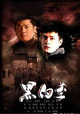 黑白李 (2010)海报