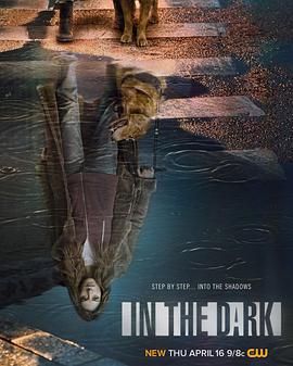 暗中 第二季 In the Dark Season 2 (2020)海报