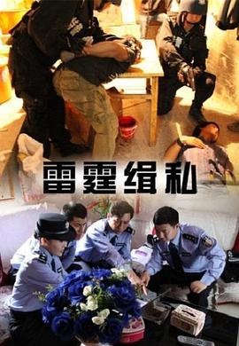 雷霆缉私 (2013)海报