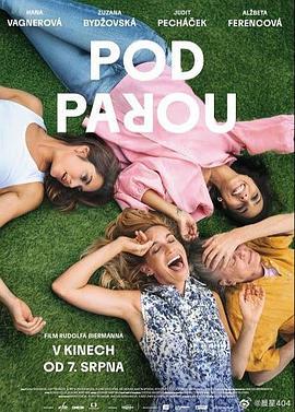 酒精计划 Pod parou (2025)海报