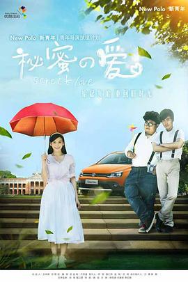 秘密的爱 (2014)海报