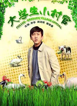 大学生小村官 (2009)海报