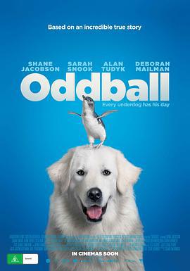 企鹅小守护 Oddball (2015)海报