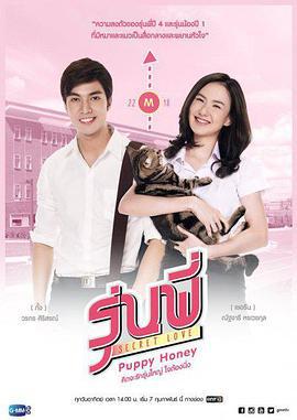 秘恋之我亲爱的狗狗 Secret Love Series: Puppy Honey (2016)海报