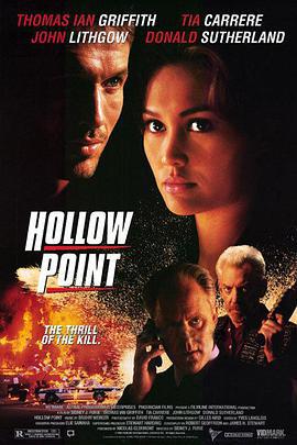 危机风暴 Hollow Point (1996)海报