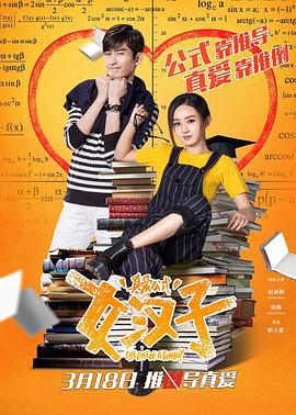 女汉子真爱公式 (2016)海报