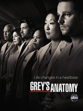 实习医生格蕾 第七季 Grey's Anatomy Season 7 (2010)海报