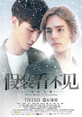 假装看不见之电影大师 (2016)海报