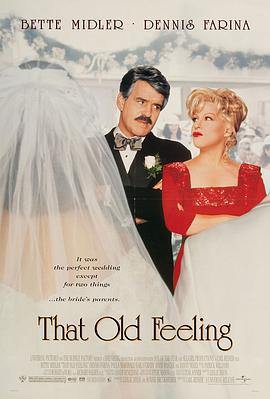 二度姻缘三日情 That Old Feeling (1997)海报