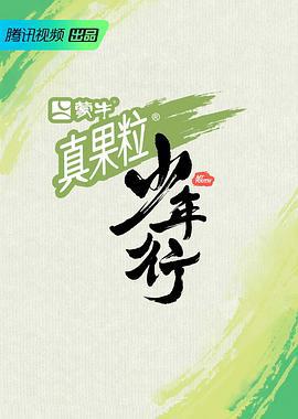 少年行 (2023)海报