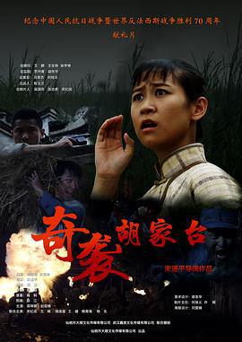 奇袭胡家台 (2015)海报