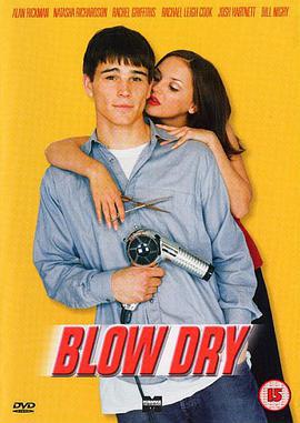 大放异彩 Blow Dry (2001)海报