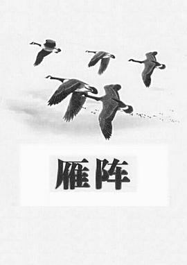 雁阵 (1991)海报