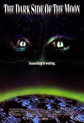 拦截火狐狸 The Dark Side of the Moon (1990)海报