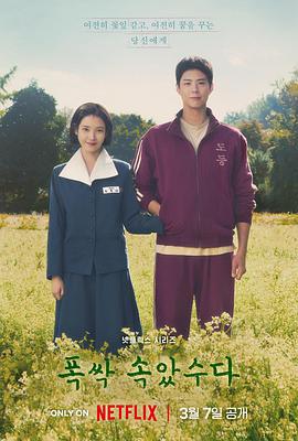 苦尽柑来遇见你 폭싹 속았수다 (2025) yu_gao_pian海报