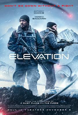 高处营救 Elevation (2024) qiang_xian_ban海报