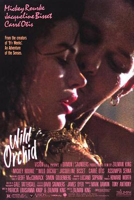 野兰花 Wild Orchid (1990)海报