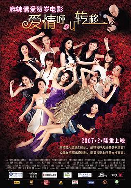 爱情呼叫转移 (2007)海报