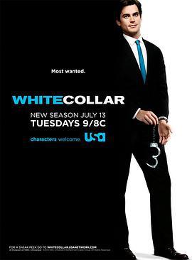 妙警贼探 第二季 White Collar Season 2 (2010)海报
