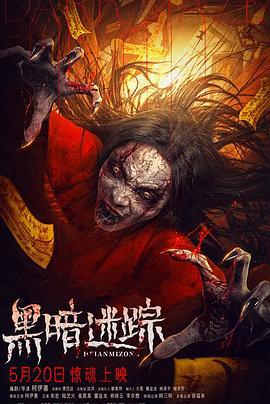 黑暗迷踪 (2025)海报