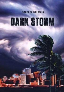 黑色风暴 Dark Storm (2006)海报