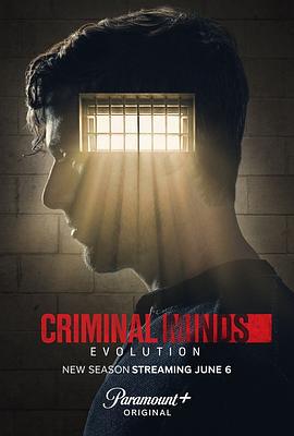 犯罪心理：演变 第十七季 Criminal Minds: Evolution Season 17 (2024)海报