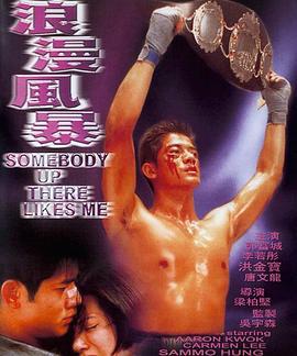 浪漫风暴 浪漫風暴 (1996)海报