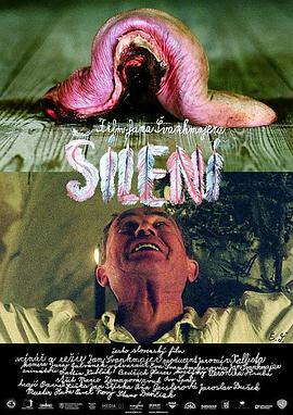 梦魇疯人院 Šílení (2005)海报