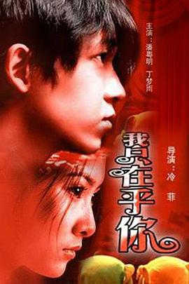 我只在乎你 (2004)海报