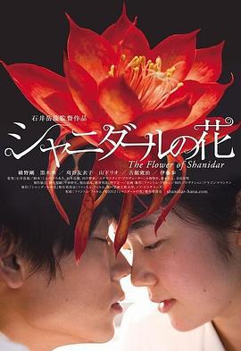 沙尼达尔之花 シャニダールの花 (2013)海报