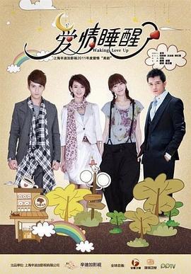 爱情睡醒了 (2011)海报