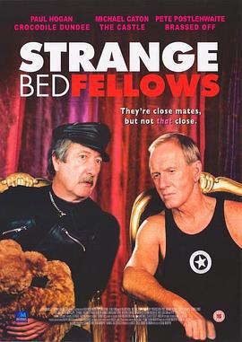 怪异同床人 Strange Bedfellows (2004)海报
