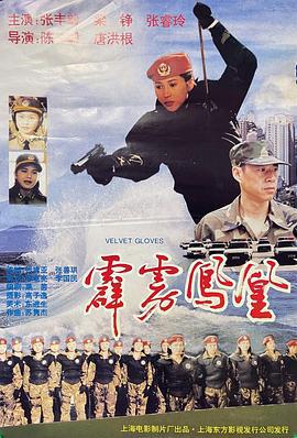 霹雳凤凰 (1996)海报