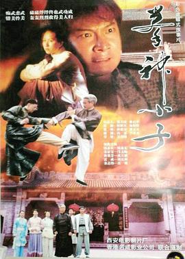 拳神小子 (2000)海报