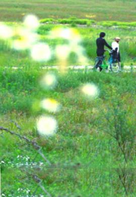 牵牛花 나팔꽃 (2012)海报