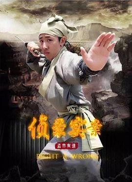 侦录实案之盗亦有道 (2017)海报