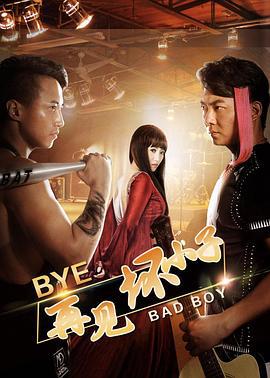 再见坏小子 (2016)海报
