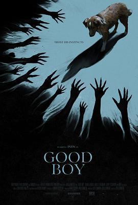 好狗狗 Good Boy (2025) tc海报