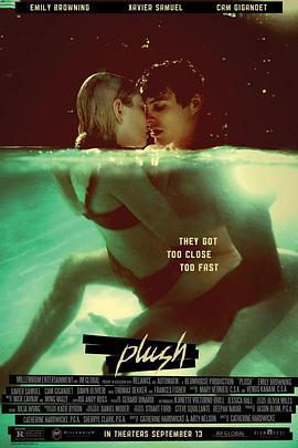 毛绒 Plush (2013)海报