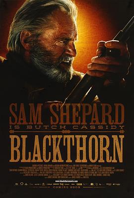 黑荆棘 Blackthorn (2011)海报