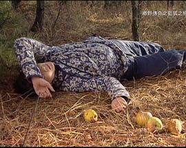 乡野传奇之蓝狐之恋 乡野傳奇Ⅰ藍狐之恋 (1999)海报