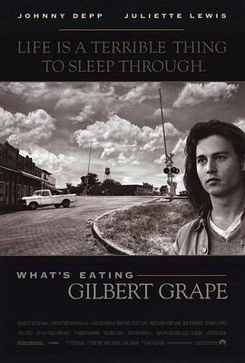 不一样的天空 What's Eating Gilbert Grape (1993)海报