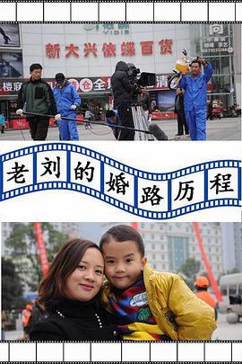 老刘的婚路历程 (2013)海报